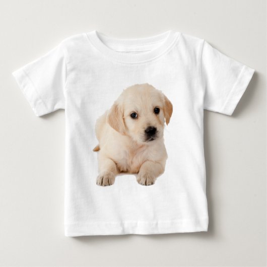 Golden Labrador Puppy (Voorkant)