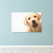 Golden Labrador Puppy Canvas Afdruk (Insitu (Houten vloer))