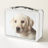 Golden Labrador Puppy Closeup (Achterkant)