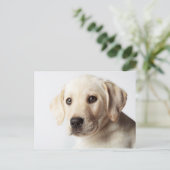 Golden Labrador Puppy Closeup Briefkaart (Staand voorkant)
