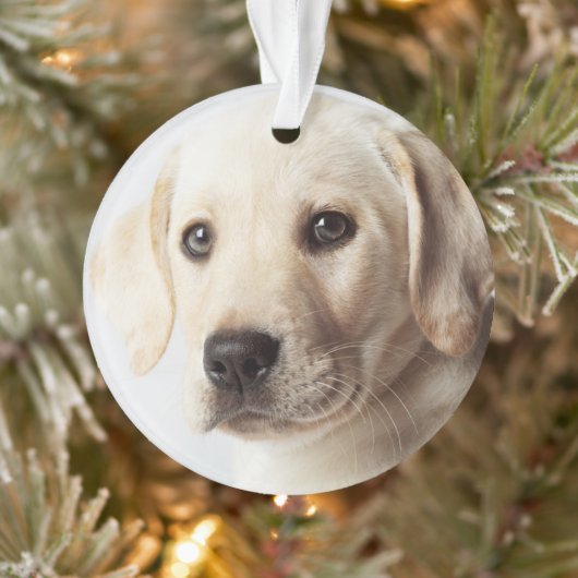 Golden Labrador Puppy Closeup Ornament (Boom)