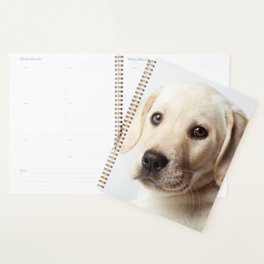 Golden Labrador Puppy Closeup Planner (Display)