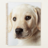 Golden Labrador Puppy Closeup Planner (Voorkant)