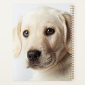 Golden Labrador Puppy Closeup Planner (Achterkant)