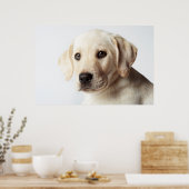 Golden Labrador Puppy Closeup Poster (Keuken)