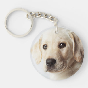 Golden Labrador Puppy Closeup Sleutelhanger