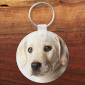 Golden Labrador Puppy Closeup Sleutelhanger (Voorkant)