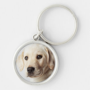 Golden Labrador Puppy Closeup Sleutelhanger