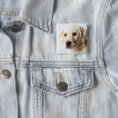 Golden Labrador Puppy Closeup Vierkante Button 5,1 Cm (In situ)