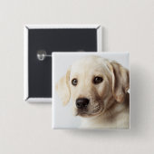 Golden Labrador Puppy Closeup Vierkante Button 5,1 Cm (Voorkant /achterkant)