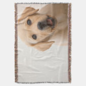 Golden Labrador Puppy Deken (Voorkant Verticaal)