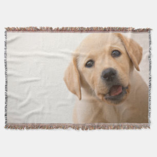 Golden Labrador Puppy Deken