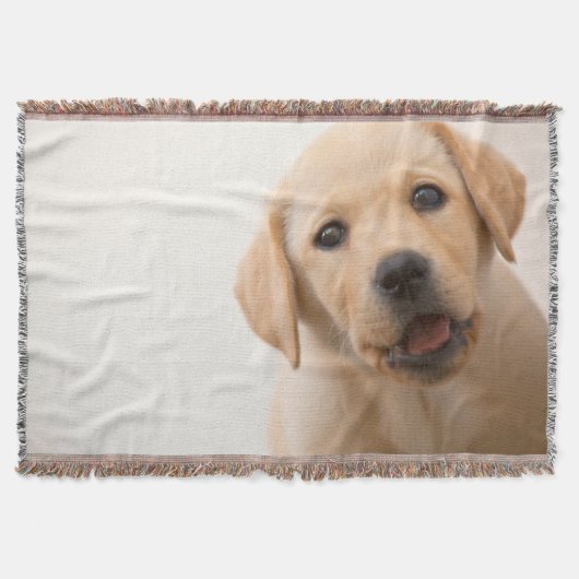 Golden Labrador Puppy Deken (Voorkant)