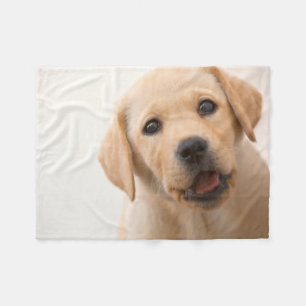 Golden Labrador Puppy Fleece Deken