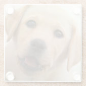 Golden Labrador Puppy Glazen Onderzetter (Achterkant)