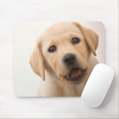 Golden Labrador Puppy Muismat (Met muis)