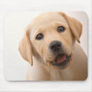 Golden Labrador Puppy Muismat