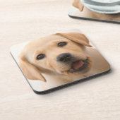 Golden Labrador Puppy Onderzetter (Linkerzijde)