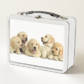 Golden Labrador Puppy Pile (Voorkant)