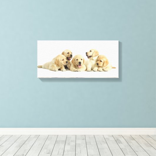 Golden Labrador Puppy Pile Canvas Afdruk (Insitu (Houten vloer))