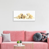 Golden Labrador Puppy Pile Canvas Afdruk (Insitu (Woonkamer))