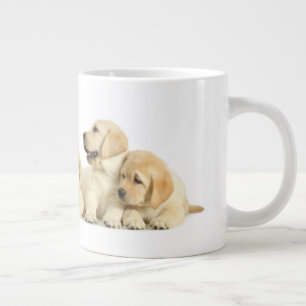 Golden Labrador Puppy Pile Grote Koffiekop