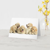 Golden Labrador Puppy Pile Kaart (Gele Bloem)