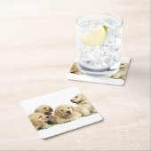 Golden Labrador Puppy Pile Kartonnen Onderzetters (Insitu)