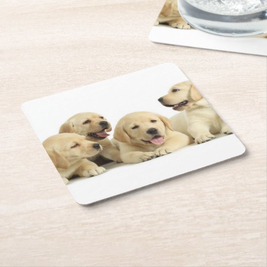 Golden Labrador Puppy Pile Kartonnen Onderzetters (Schuin)
