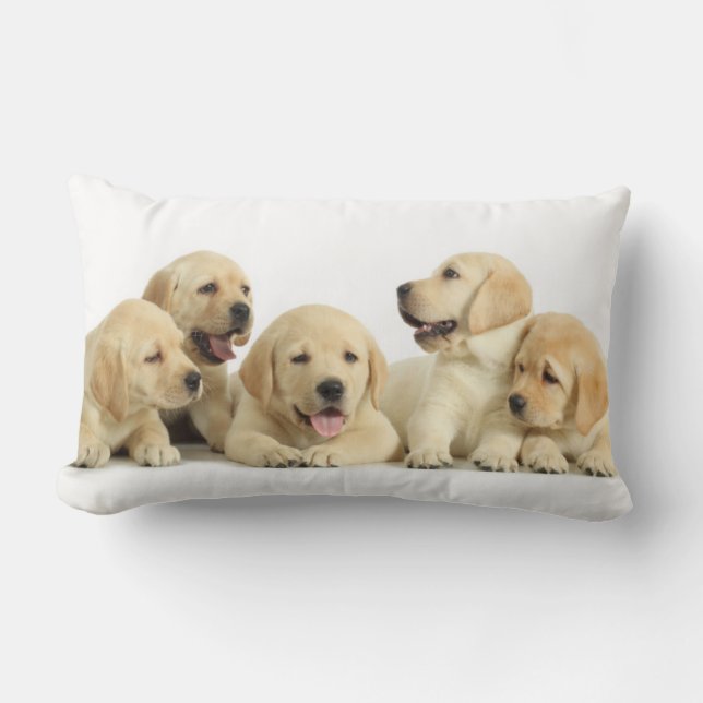 Golden Labrador Puppy Pile Kussen (Voorkant)