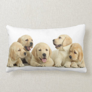 Golden Labrador Puppy Pile Kussen