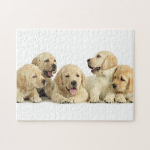Golden Labrador Puppy Pile Legpuzzel
