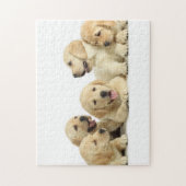Golden Labrador Puppy Pile Legpuzzel (Verticaal)