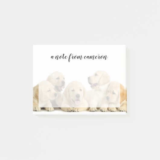 Golden Labrador Puppy Pile Post-it® Notes (Voorkant)