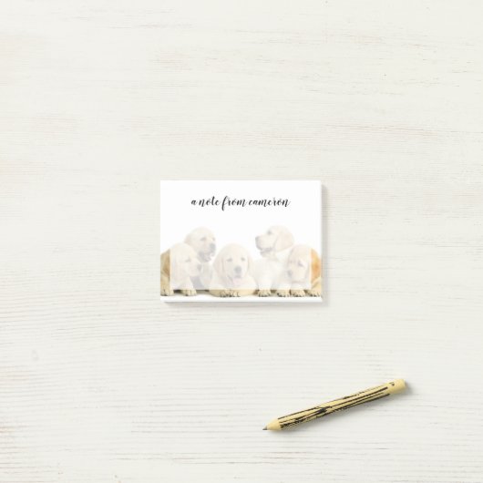 Golden Labrador Puppy Pile Post-it® Notes (Op bureau)