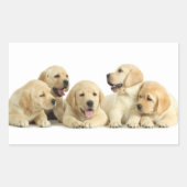 Golden Labrador Puppy Pile Rechthoekige Sticker (Voorkant)