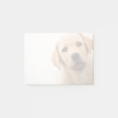 Golden Labrador Puppy Post-it® Notes (Voorkant)