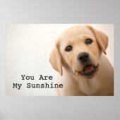 Golden Labrador Puppy Poster (Voorkant)