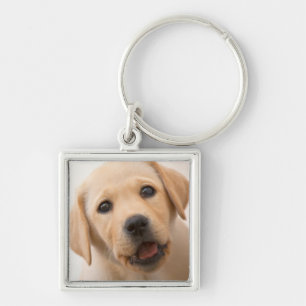 Golden Labrador Puppy Sleutelhanger