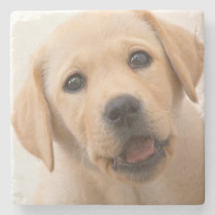 Golden Labrador Puppy Stenen Onderzetter