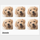 Golden Labrador Puppy Vierkante Sticker (Vel)