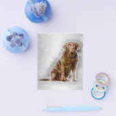 Golden Labrador Retriever 8 jaar oud Flyer (Enkel)