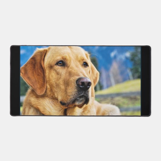 Golden Labrador Retriever Bureaumat (Voorkant)