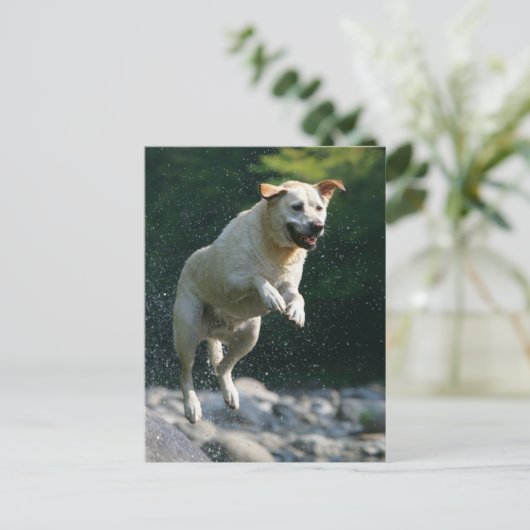 Golden Labrador Retriever die in de rivier springt Briefkaart (Staand voorkant)