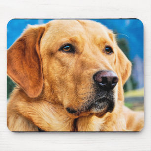 Golden Labrador Retriever Muismat
