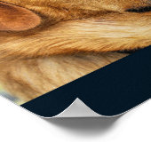 Golden Labrador Retriever Poster (Hoek)