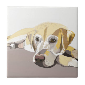 Golden Labrador Tegeltje