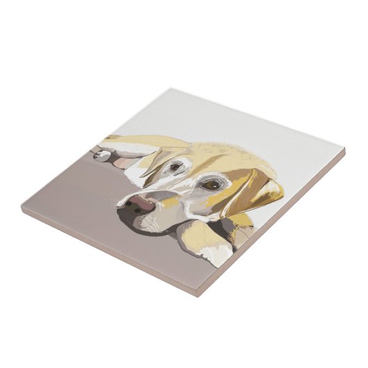 Golden Labrador Tegeltje (Zijkant)