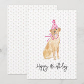 Golden Labrador Verjaardag Pet Ballonnen Dog Pet F (Voorkant / Achterkant)