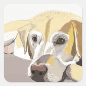 Golden Labrador Vierkante Sticker (Voorkant)